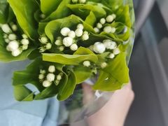 -循礼门鲜花花市(武汉循礼门店)