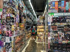 -鸿兴玩具