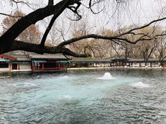 -百脉泉景区