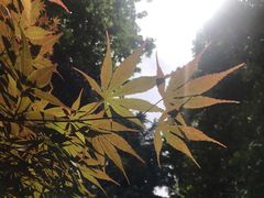 -华山儿童公园