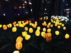 -西湖天地