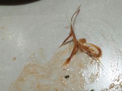 -袁记串串香(世欧王庄店)