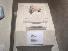 -烟台市博物馆