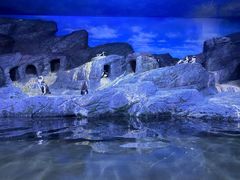 -暹罗海洋世界