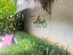 -大象粑粑造纸公园