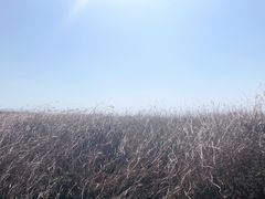 -爱丽丝牛排西餐厅(光谷步行街店)