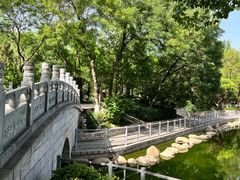 -莲湖公园