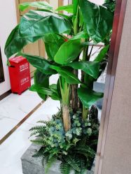 -芳朵美容养生SPA