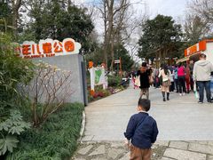 -杭州少年儿童公园
