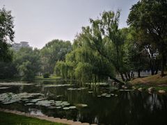 -万泉公园
