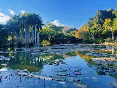 -中国科学院西双版纳热带植物园