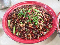 -东吴霸王兔(松青路店)