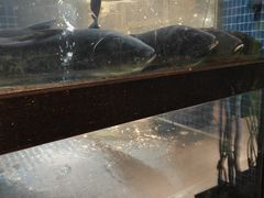 -随意茶庄·地道杭帮农家菜(梅家坞店)