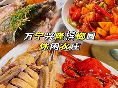 -兴隆槟榔园休闲农庄