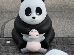 -星光大道