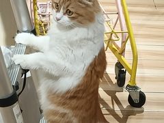 -听TA说宠咖·宠物生活馆(天韵水岸店)