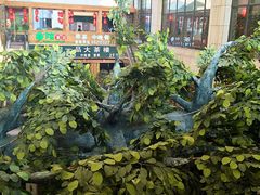 iphone_upload_pic-琼菜坊·无鸡不成宴·海南菜老爸茶糟粕醋(海口骑楼老街店)