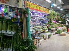 -花鸟鱼虫鲜花绿植市场(玉泉路店)