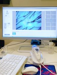 -史云逊养发护发