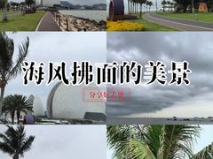 -野狸岛