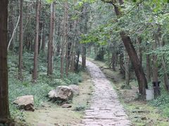 -冶父山国家森林公园