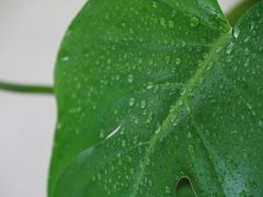 -幽篁里古琴制作中心