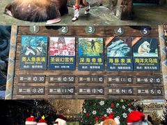 -哈尔滨波塞冬海底世界