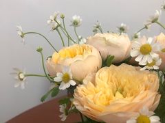 -双季花艺园艺市场(浦东店)