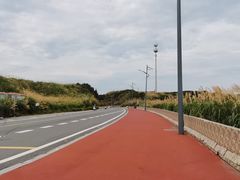 -长江澳风力发电景观区