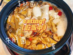 -蘑统田下·野生菌火锅