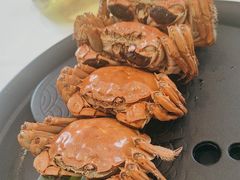 -小厨娘淮扬菜(板桥一店)