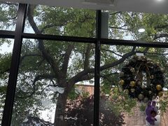 -翊宠yipet猫狗购宠庄园犬舍•猫舍