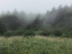 -白草畔自然风景区