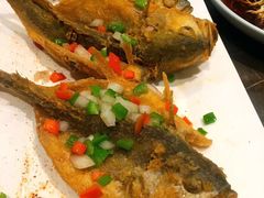 -冶春茶社(星汉大厦店)