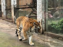 -柳州市动物园