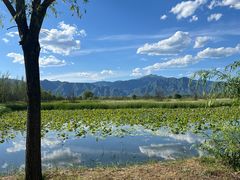 -野鸭湖国家湿地公园