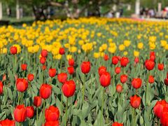 -长春公园(普阳街道)