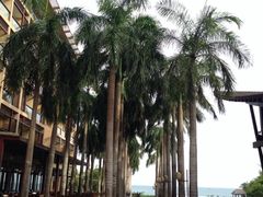 iphone_upload_pic-三亚亚龙湾红树林度假酒店