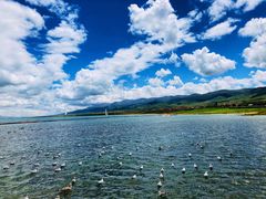 -青海湖国家重点风景名胜区