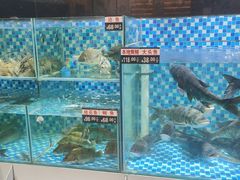 -农汤老店(顺联公园里店)