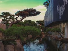 -罗红摄影艺术馆