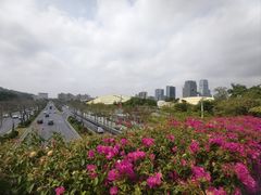 -云溪植物园