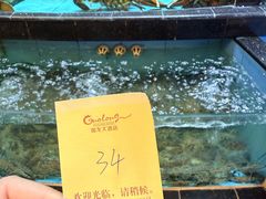 -国龙大酒店-中餐厅