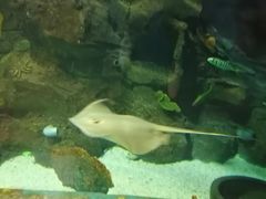 -石家庄海洋公园