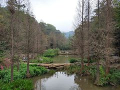 -云溪植物园