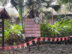 -海南热带野生动植物园