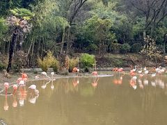 -杭州野生动物世界