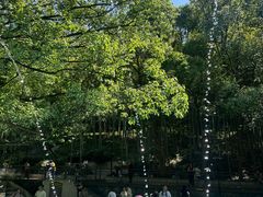 -东明山森林公园