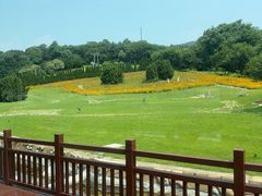 -棒棰岛宾馆景区