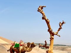 -火焰山景区(火焰山镇)